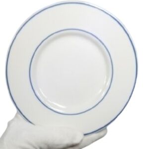 Tulip Tyme Stoneware Elegant White Plate with Blue Trim 6"